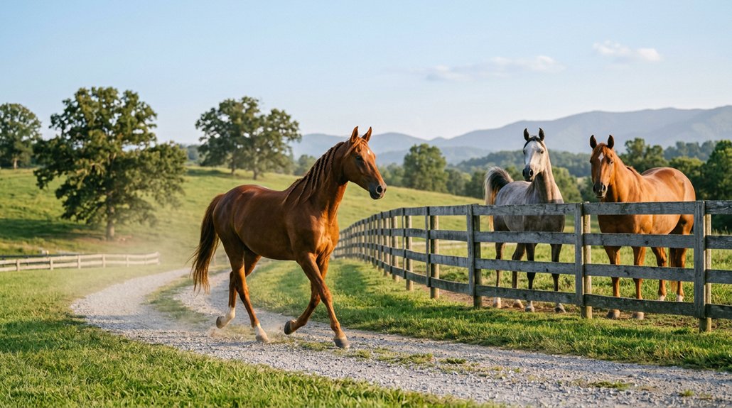 smooth enduring trail companions